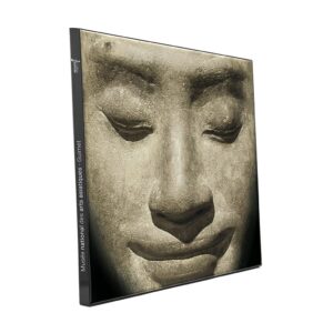 musée des arts asiatiques Guimet cadre iiconi